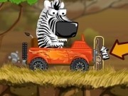 masini in safari