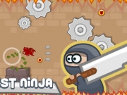 ninja in pericol